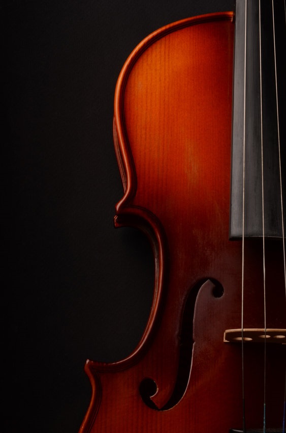 ISA Violin Committee Report May 2024