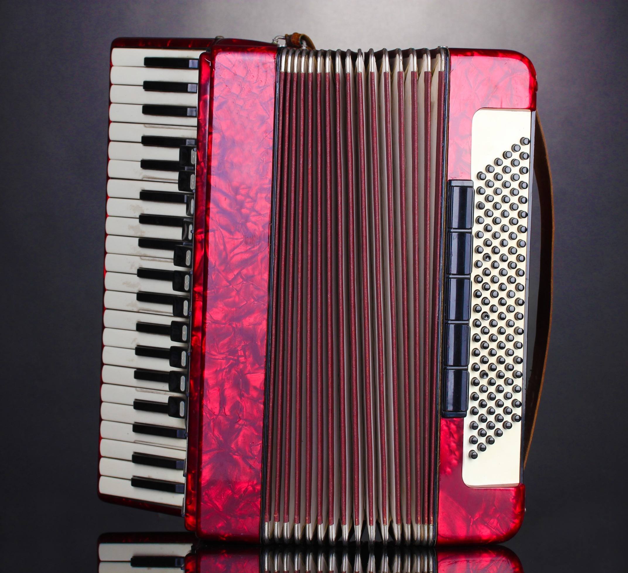 Level 1 Accordion Teacher Training Course ITALY