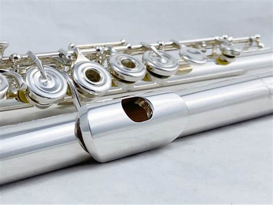 National Flute Teacher Training Course GERMANY