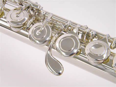 National Levels 1 to 5 Flute Teacher Training Course ITALY