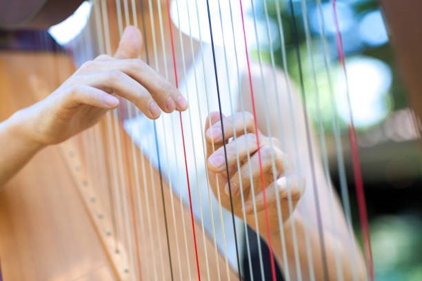 Information Morning Harp Teacher Training Course ITALY