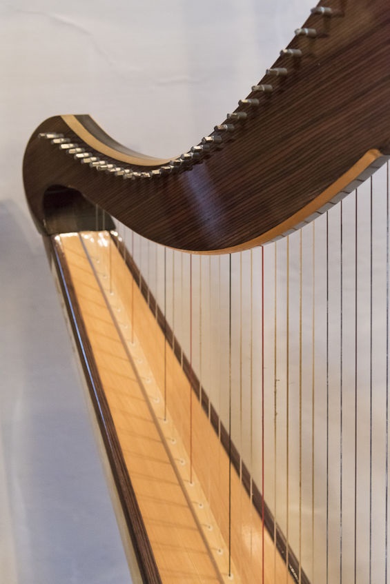 National Levels 1,2 and 3 Harp Teacher Training Course ITALY