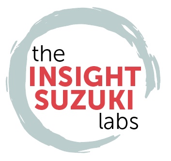 CPD Course - Insight Suzuki Labs UK