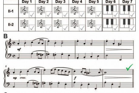 Tokyo University proves Suzuki Method™ through neuroscience research