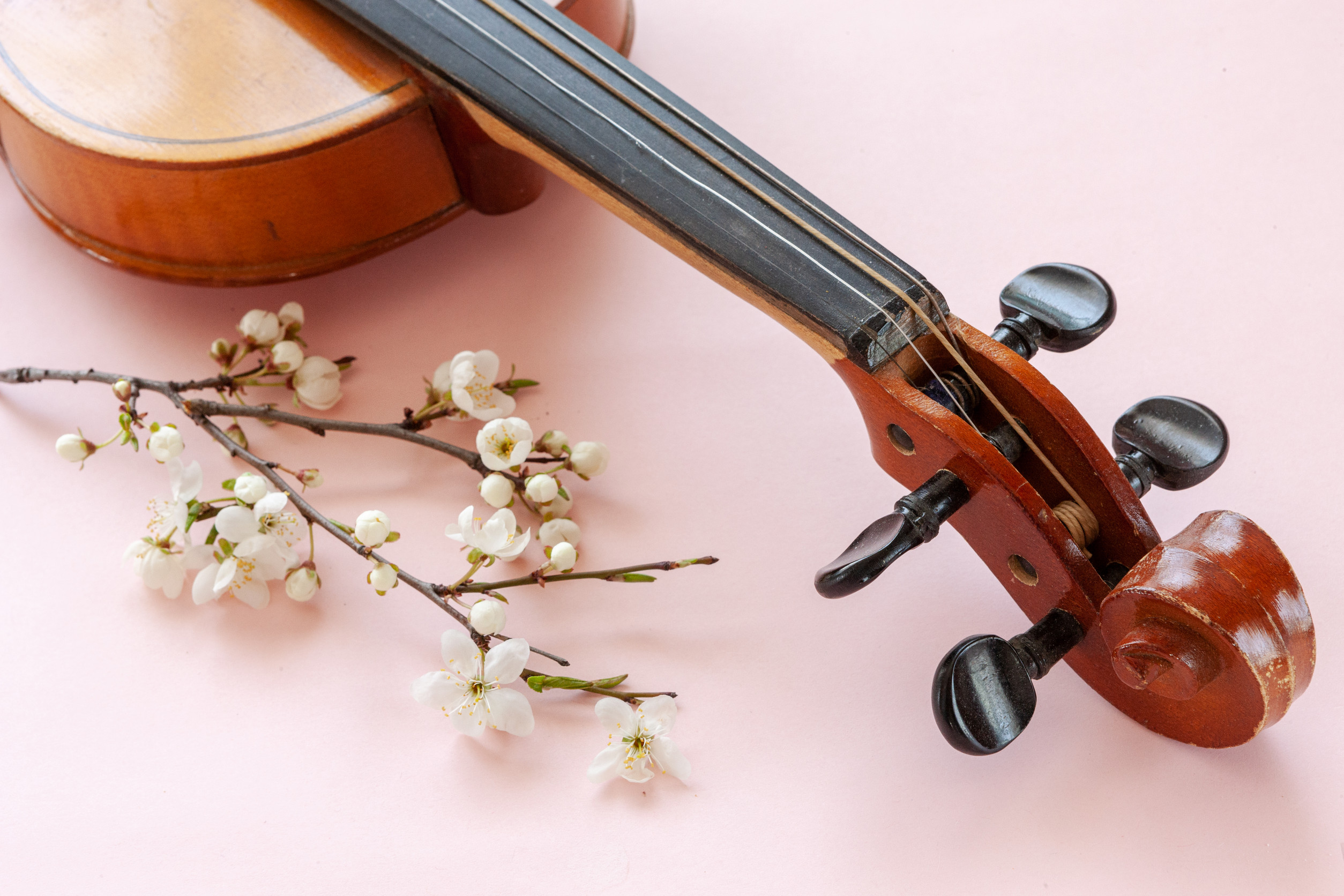 SUZUKI™ Violin Spring Workshop ITALY