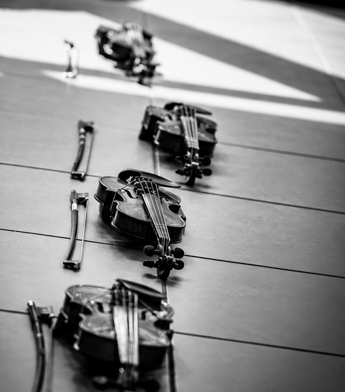 National Levels 1 & 2 Violin Teacher Training Course BELGIUM