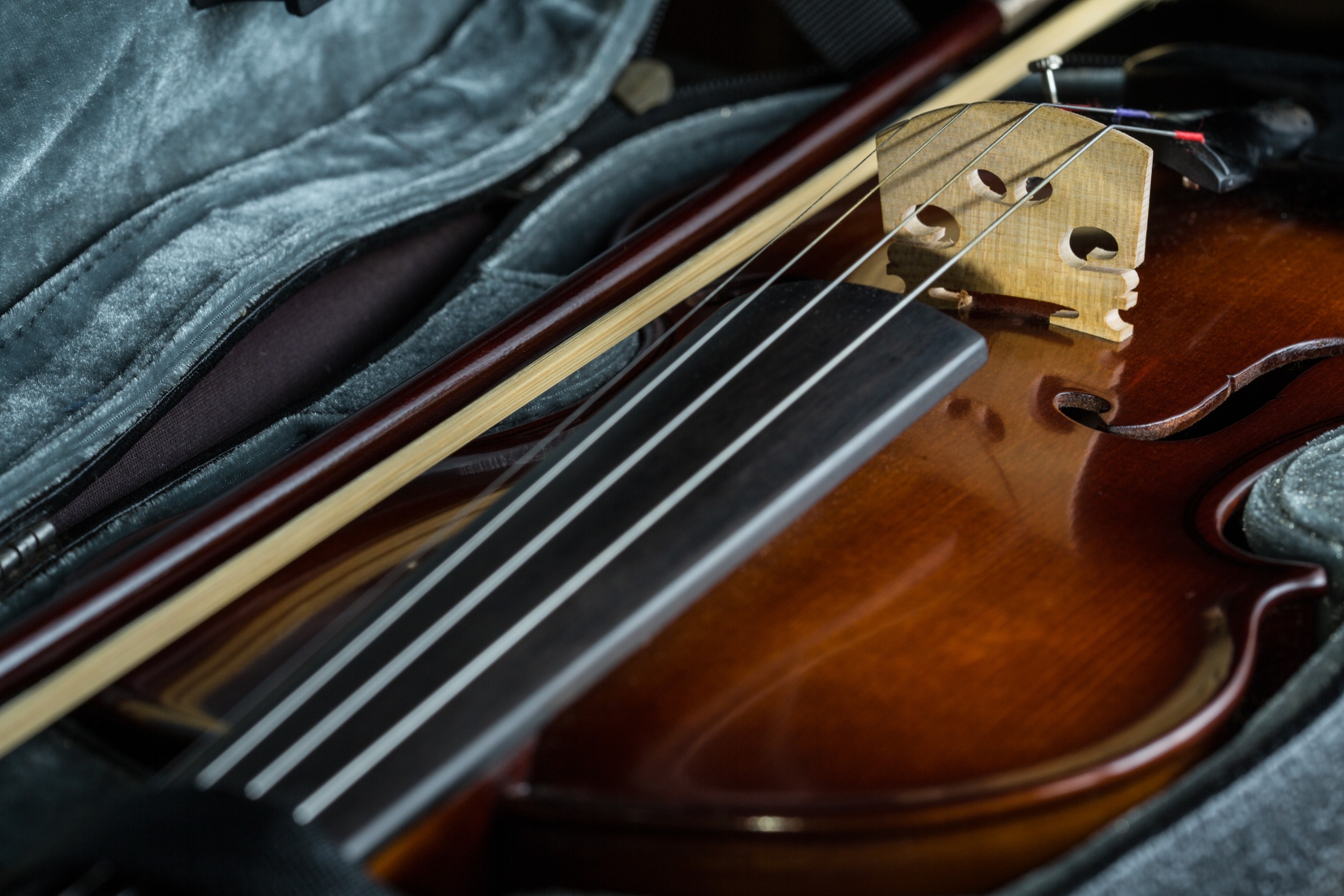 National Level 1 Violin Teacher Training Course BELGIUM