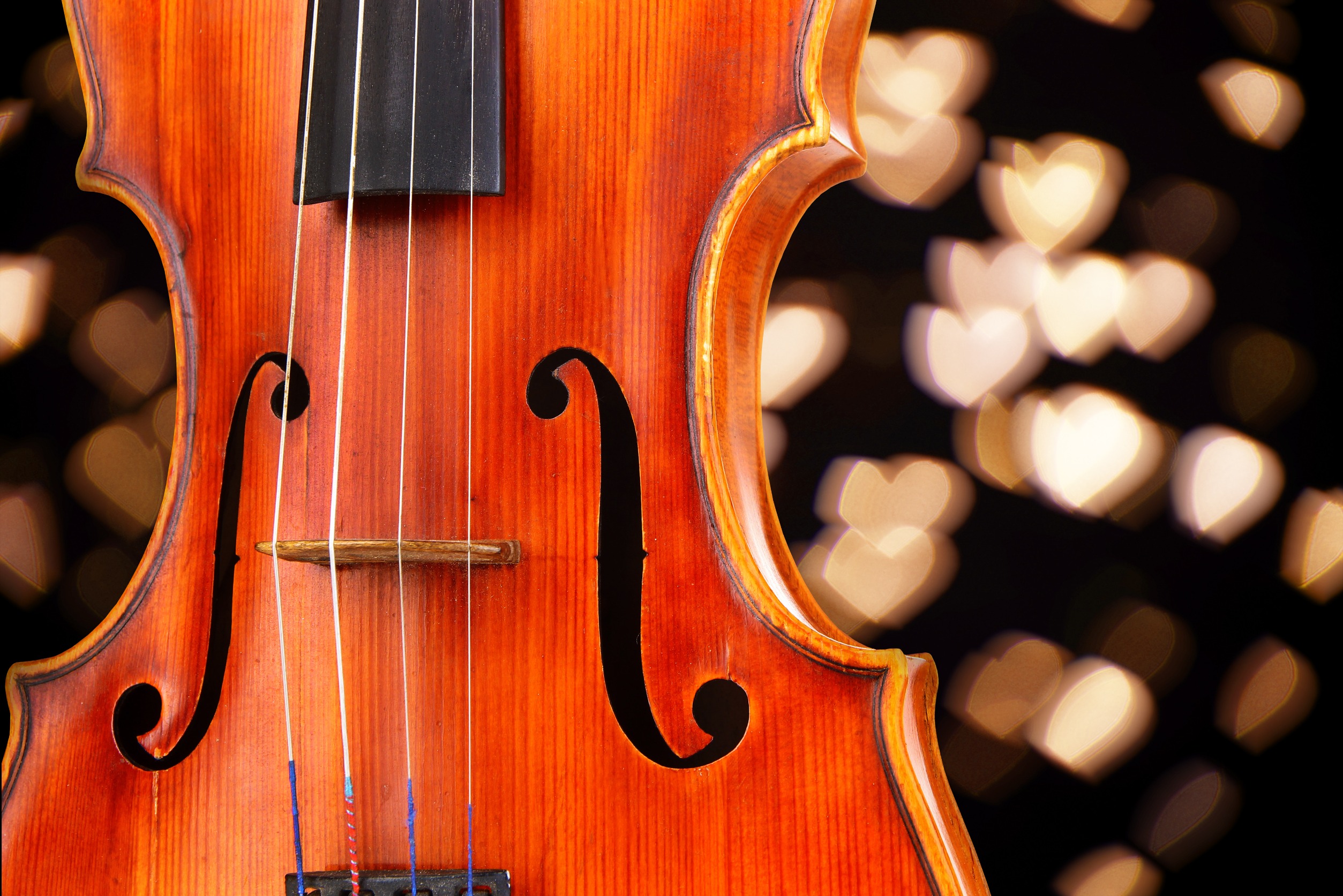 Suzuki Violin Teacher Training Workshop SOUTH AFRICA