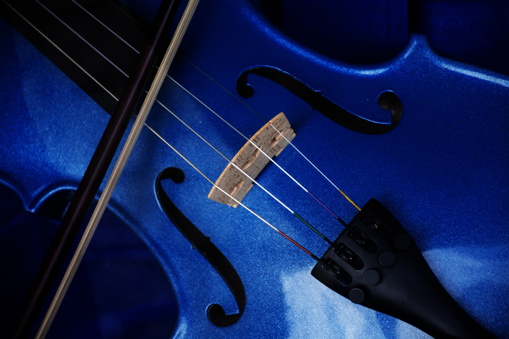 UNSA SUZUKI™Violin Workshop POLAND