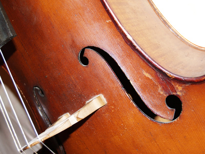 Violoncello