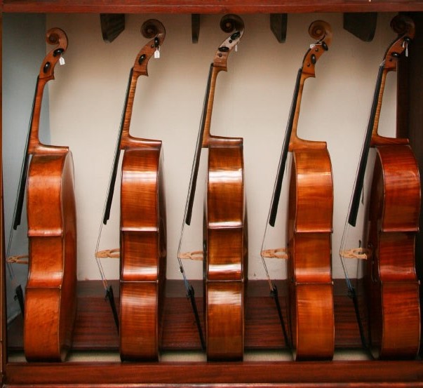 SUZUKI™ Cello Workshop NETHERLANDS