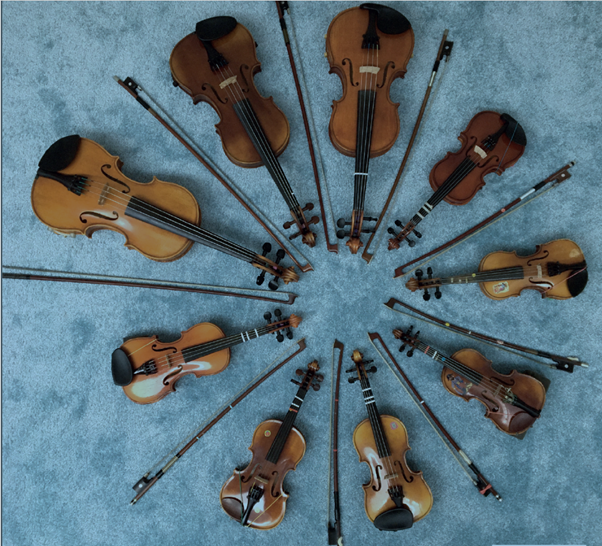 National Levels 1 - 5 Violin Teacher Training Course SWITZERLAND