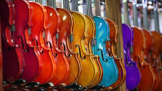 National Level 1 Violin Teacher Training Course GERMANY