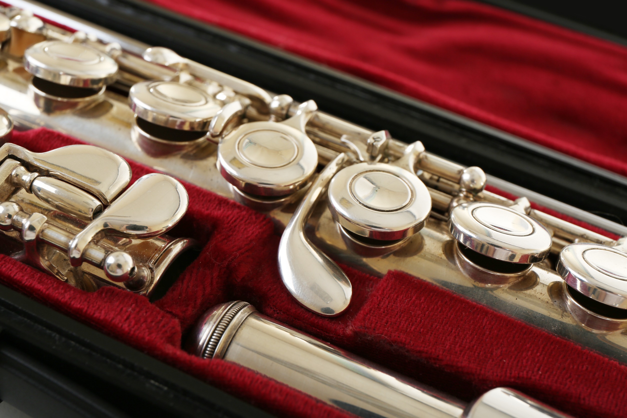 SUZUKI™ Flute Workshop GERMANY