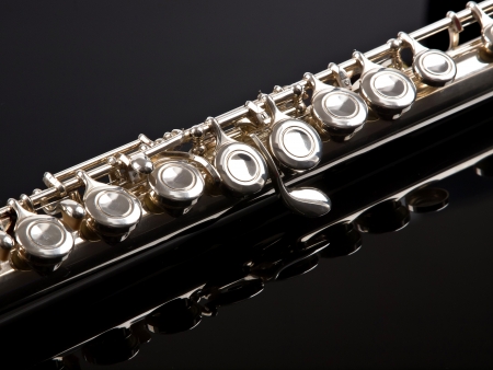 SUZUKI™ Flute Group NETHERLANDS