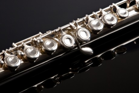 SUZUKI™ Flute Group NETHERLANDS