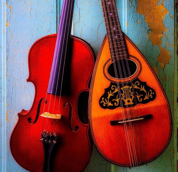 Violin to Mandolin Conversion Course ITALY