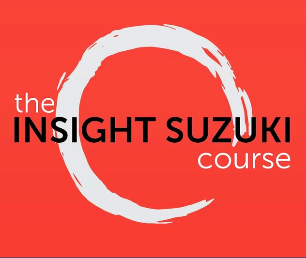 The Insight SUZUKI™ Course