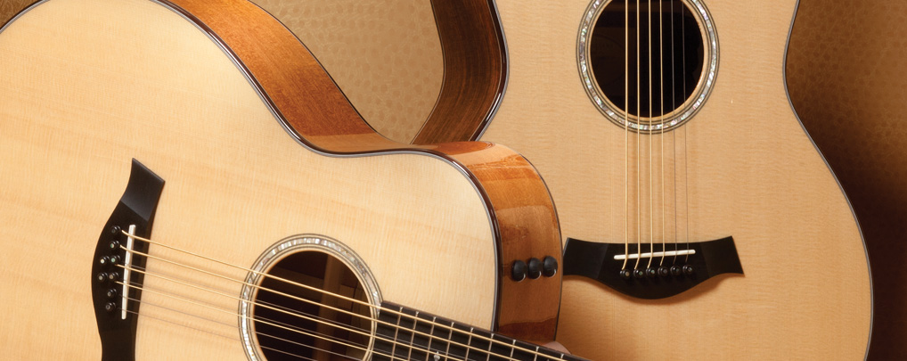 National Level 1 Guitar Teacher Training Course SWITZERLAND