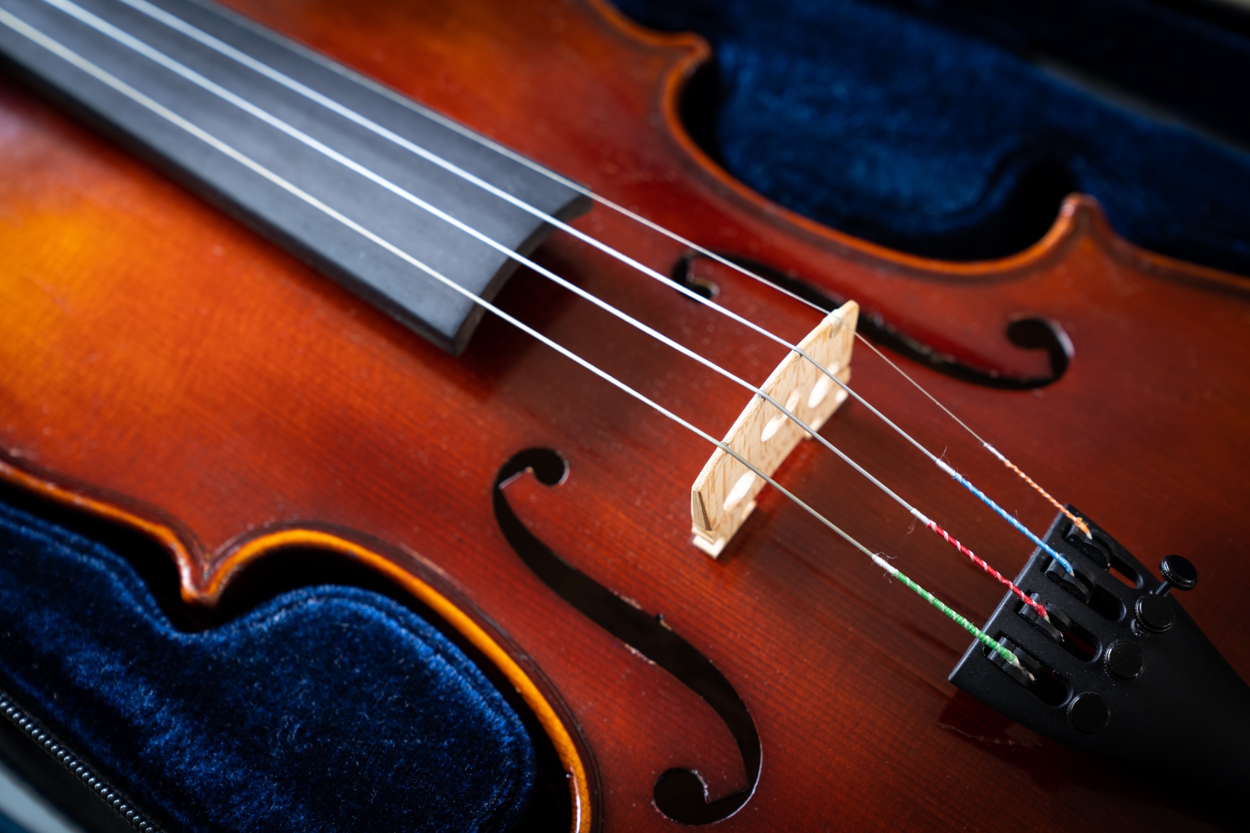 National Level 1 Violin Teacher Trainer Course AUSTRIA