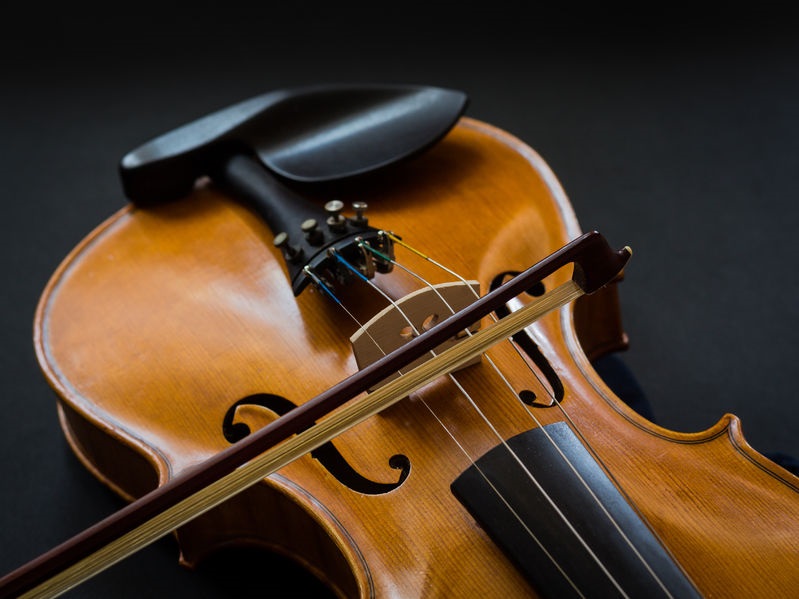 National Level 1 & Level 2 Violin Teacher Training Course GERMANY