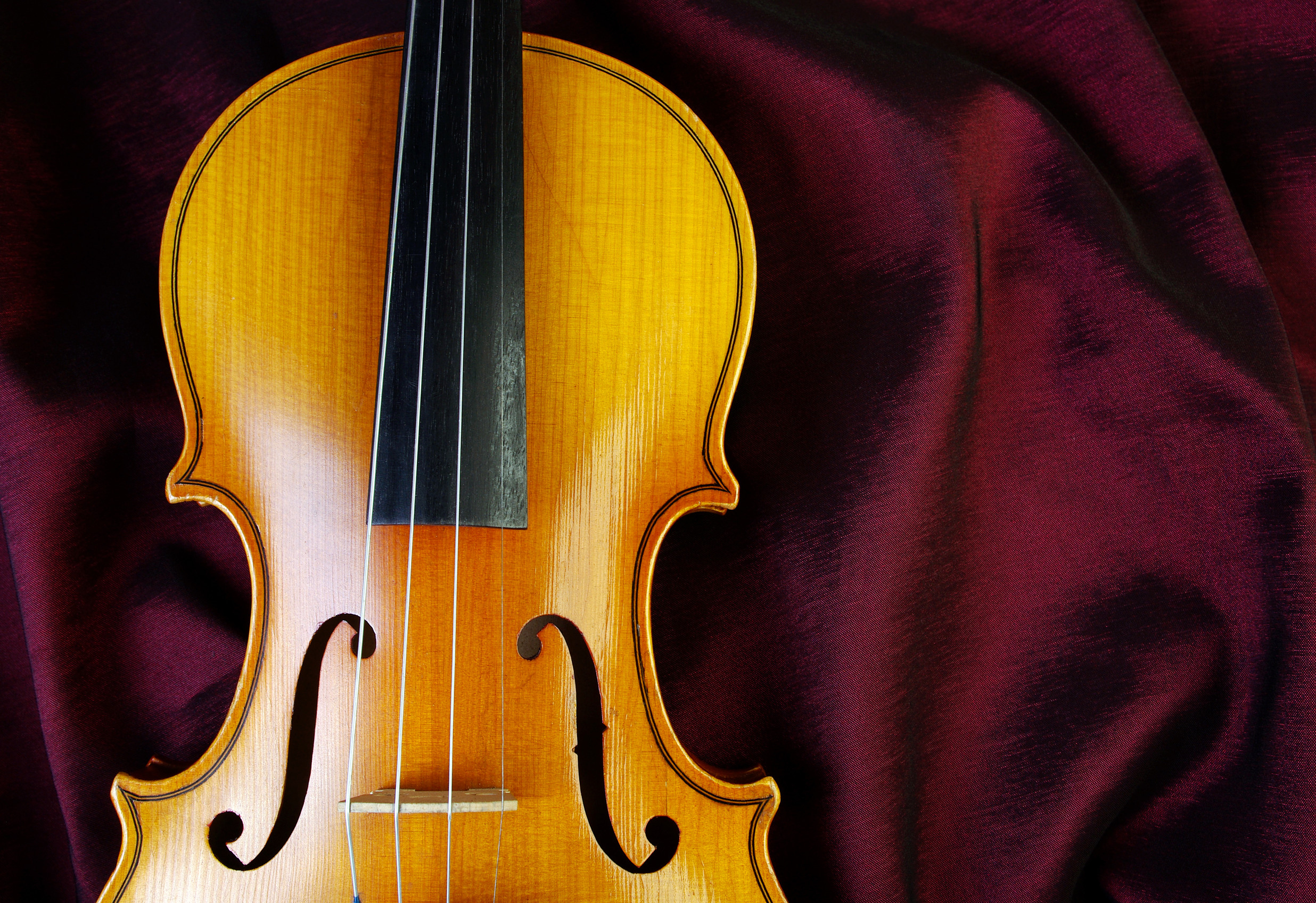 National Violin Teacher Training Course ITALY 