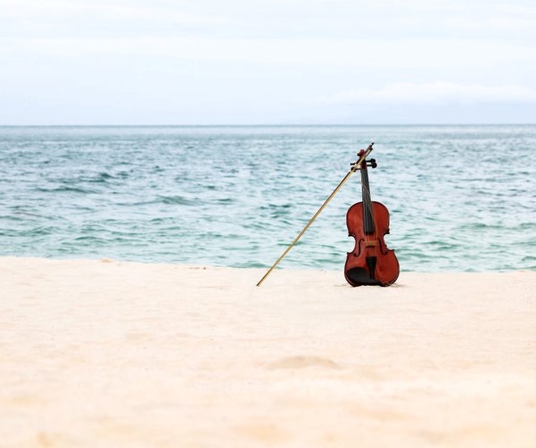 SUZUKI™ Violin Easter Course SPAIN